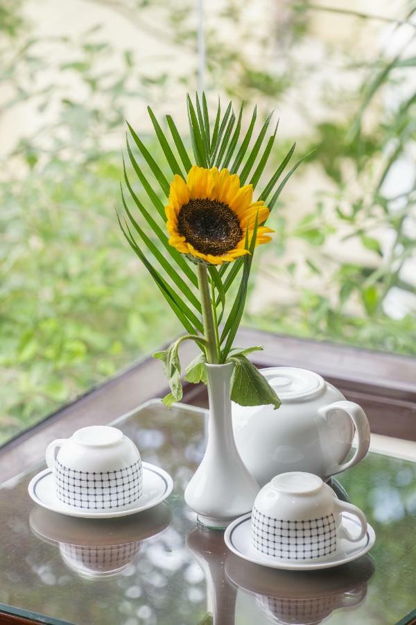 Golden Soulmate Homestay Hội An Buitenkant foto