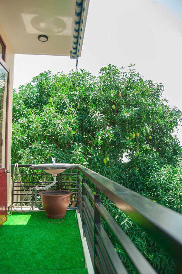 Golden Soulmate Homestay Hội An Buitenkant foto